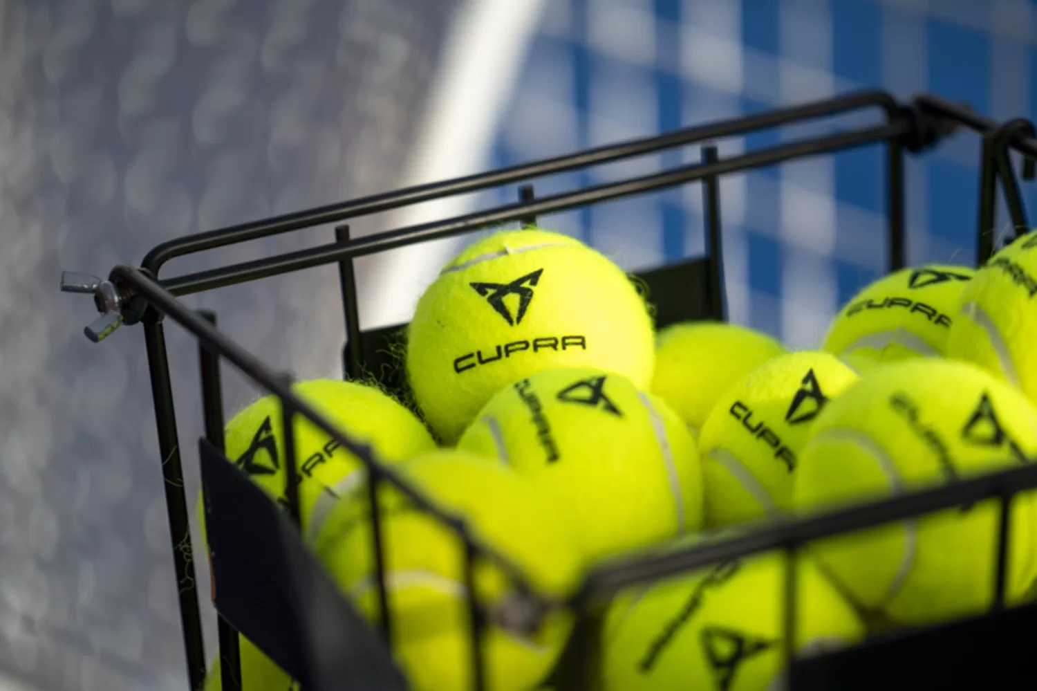 Eventi e format sportivi